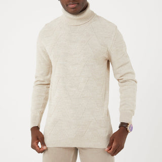 TR Premium Slim Fit Wool Turtle Neck Sweater for men - TR-11477