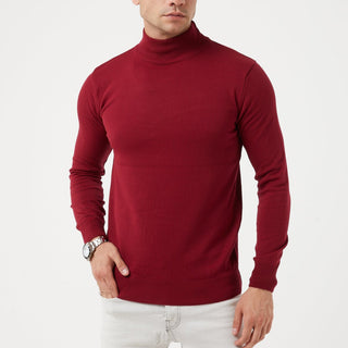 TR Premium Slim Fit Wool Turtle Neck Sweater for men - TR-11477