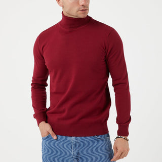 TR Premium Slim Fit Wool Turtle Neck Sweater for men - TR-11477