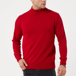 TR Premium Slim Fit Wool Turtle Neck Sweater for men - TR-11477