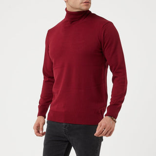 TR Premium Slim Fit Wool Turtle Neck Sweater for men - TR-11477