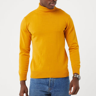 TR Premium Slim Fit Wool Turtle Neck Sweater for men - TR-11477