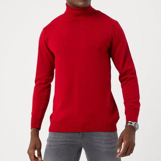 TR Premium Slim Fit Wool Turtle Neck Sweater for men - TR-11477