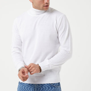 TR Premium Slim Fit Wool Turtle Neck Sweater for men - TR-11477